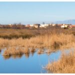 Variconi: una natura di valore internazionale da scoprire e promuovere